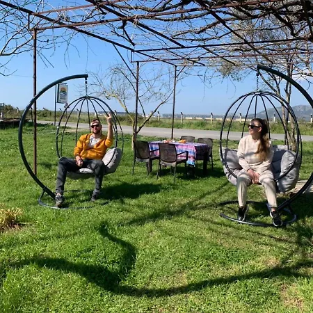 Airport * ダラマン