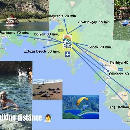 Airport Проживание в семье