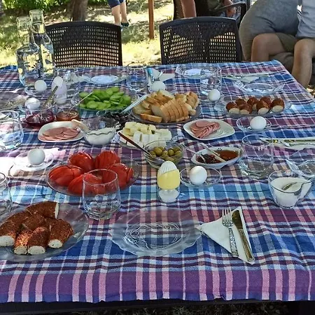 Gazde/Camere de închiriat Airport *