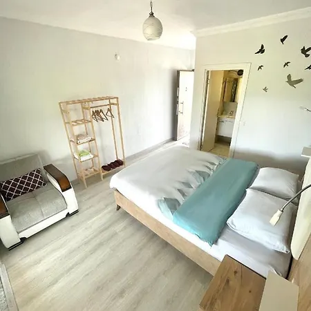 Airport Gazde/Camere de închiriat *