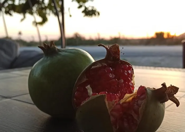 Rum i privatbostad Airport Dalaman