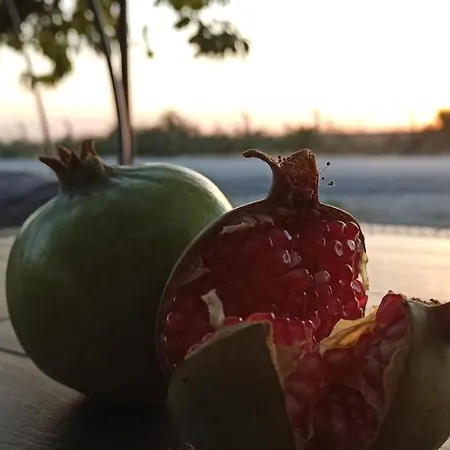 Accommodatie bij particulieren Airport Dalaman